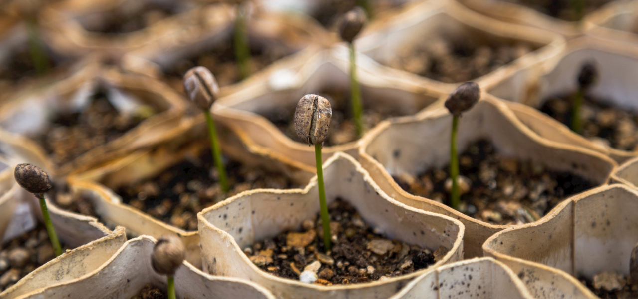 Omzet te vergroten groei